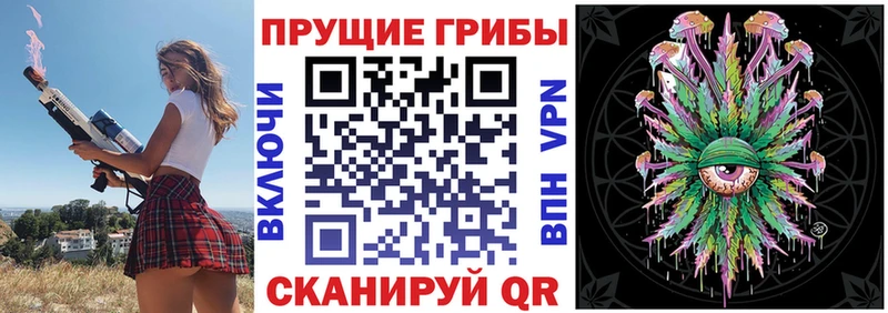 Галлюциногенные грибы Cubensis  Майкоп 