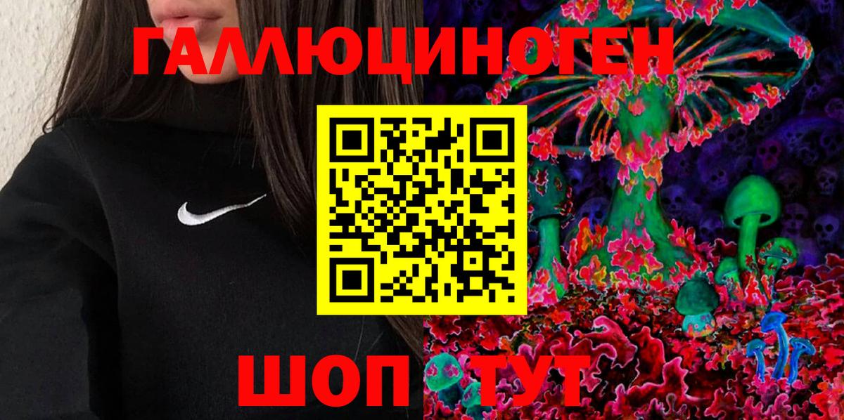 Псилоцибиновые грибы GOLDEN TEACHER  Майкоп 