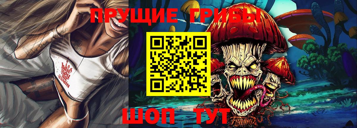 Псилоцибиновые грибы мицелий Майкоп