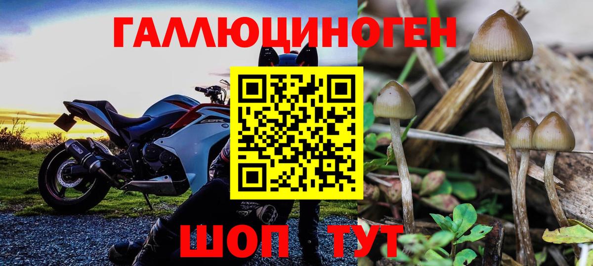 Псилоцибиновые грибы ЛСД  Вход с VPN  Майкоп 